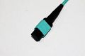 MTP® / MPO Cabling System 