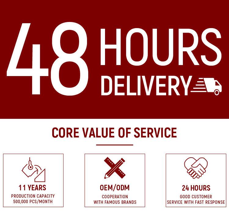 12 Core 24 Core Singlemode Multimode MTP MPO-LC/SC/FC/ST